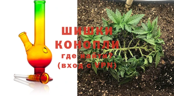 крисы Куйбышев