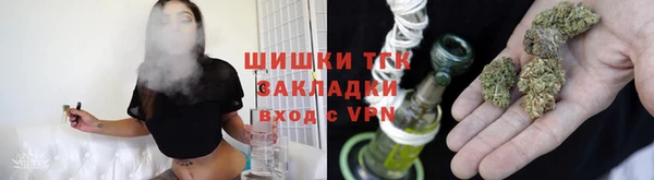 индика Протвино