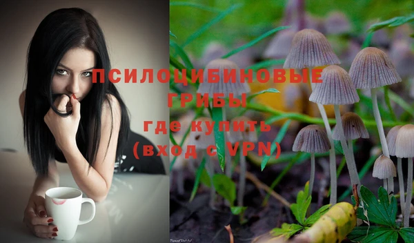 mdpv Покров