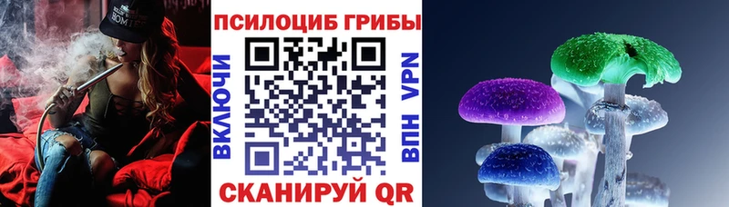 Псилоцибиновые грибы ЛСД наркота mega как войти Красный Холм